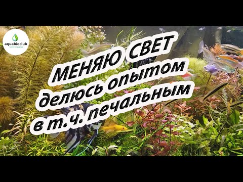 Видео: Меняю свет в аквариуме, делюсь опытом, в т.ч. негативным.