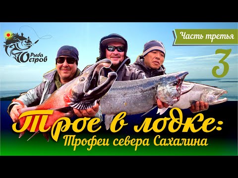 Видео: Трое в лодке: Трофеи севера Сахалина. Третья часть.