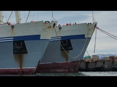 Видео: Швартовка БАТМ,,МЫС ОЛЮТЕРСКИЙ "к БАТМ,,ИРТЫШСК " ПЕТРОПАВЛОВСК-КАМЧАТСКИЙ 03.07.2024г.