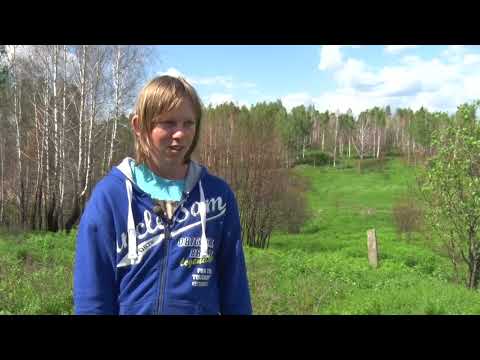 Видео: Если дома не сидится. Уральские каникулы: Ревда, Полевской 14.07.2022