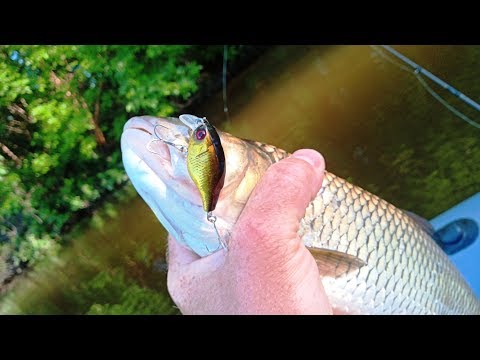 Видео: Сплав по СКАЗОЧНЫМ местам Река ПСЁЛ 2019