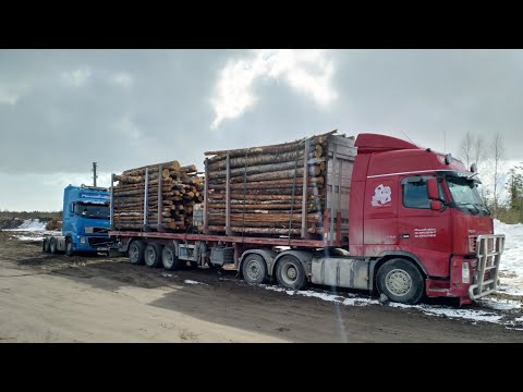 Видео: Ледовый путь. Путь в. Норвегию. Викинги. Дальнобой. 1 часть. Время карантина.