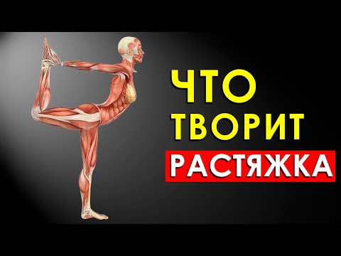 Видео: Что Произойдет с Вашим Телом, Если Делать Растяжку Каждый День