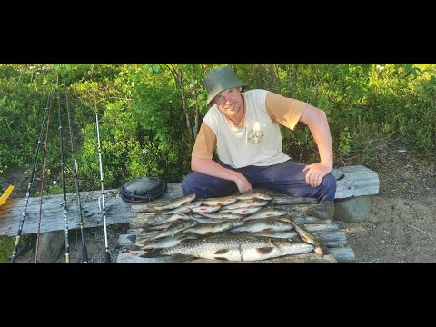 Видео: Тикшозеро,  Карелия.  Часть 2.  Поймал щуку, упустил кумжу