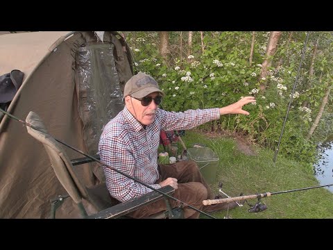 Видео: Это была долгая ночная рыбалка (и потом еще и на следующий день!!)