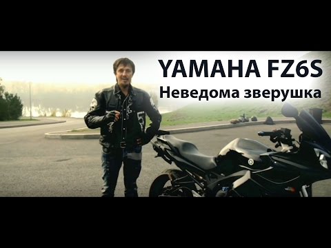 Видео: Yamaha FZ6S. Неведома зверушка