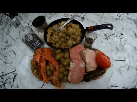 Видео: Поход зимой в лес\Готовка пьяной форели на огне!