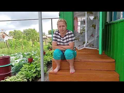 Видео: Жизнь в деревне. Хроника событий дня.