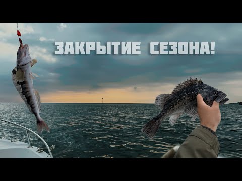 Видео: Терпуг, черный ёрш, закрытие сезона | Морская рыбалка | Sea fishing