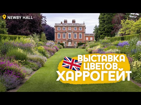 Видео: Осенняя выставка цветов (и не только) Harrogate Flower Show
