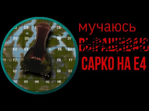 Видео: Цель: вырастить сарко на Е4