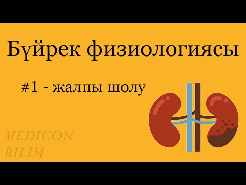 Видео: Бүйрек физиологиясы | 1-лекция | Физиология почек | курсқа тіркелу👇