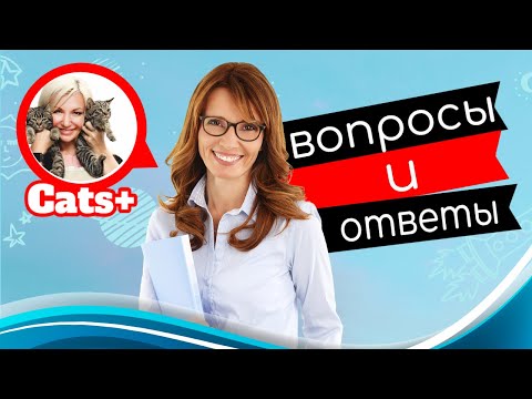Видео: Итоги. Вопрос-Ответ. Для заводчиков кошек.