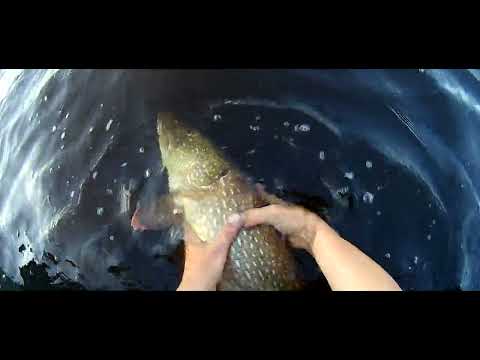 Видео: И всё-таки опять Ивинский !