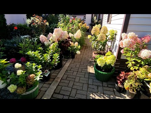 Видео: 14 августа 2023 г.