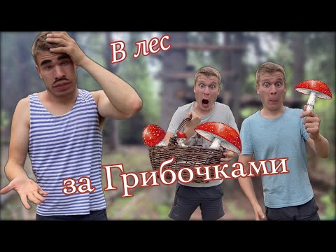 Видео: Пацаны и лесные грибочки🍄