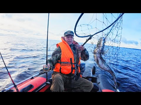 Видео: РЫБАЛКА НА СУДАКА. ОЗЕРО СЯМОЗЕРО 2024.