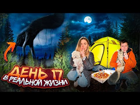 Видео: ДЕНЬ 17 В РЕАЛЬНОЙ ЖИЗНИ | НОЧЬ НА УЛИЦЕ С КОТОМ И СОБАКОЙ