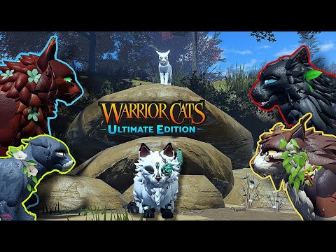 Видео: Отыгрыш роли БОЕВОГО ВОИНА на сборе | Коты-воины; Ultimate Edition