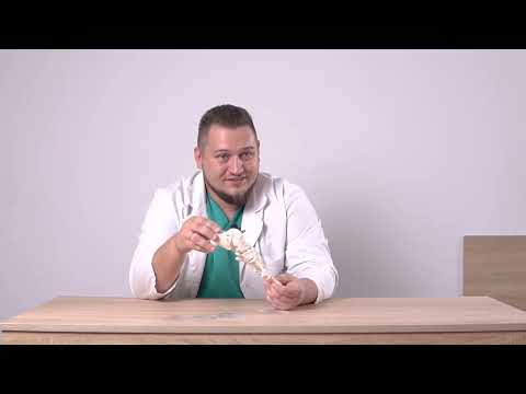 Видео: Как ходить на каблуках и не уставать