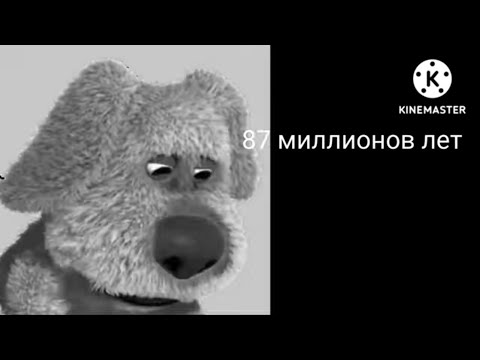Видео: 2 сентября 2025 г.