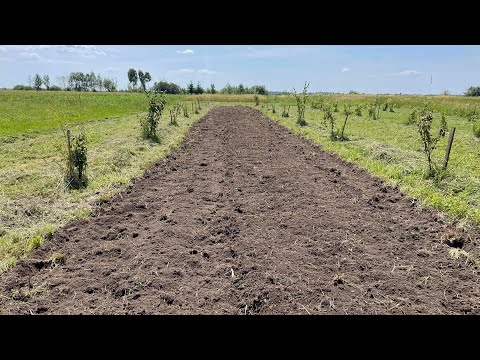 Видео: Iseki Ta 235 vs грядка на цілині !!!