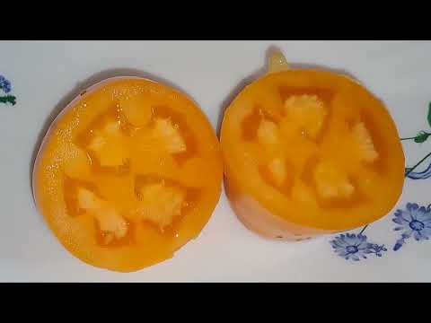 Видео: ОБЗОР УРОЖАЯ 2025Г ТОМАТЫ И ЛУК🍅🧅🧄 , ЧТО НЕ ТАК???🤔
