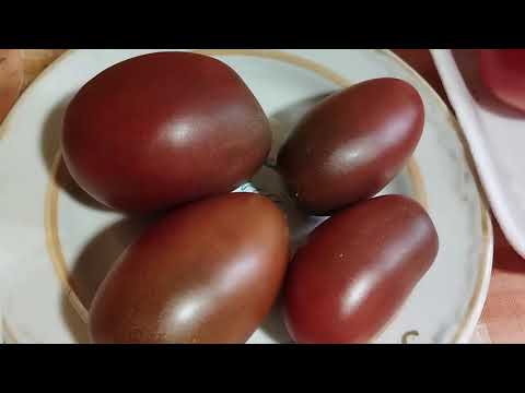 Видео: Томаты, устойчивые к болезням и неблагоприятным условиям.  г. Киров