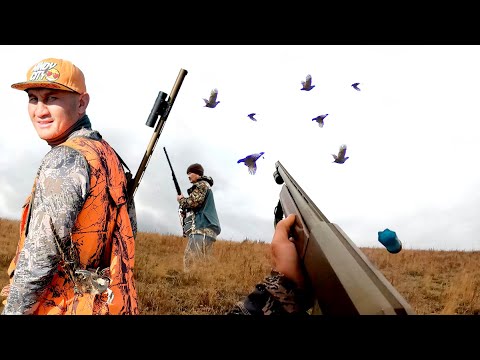 Видео: КЕКИЛИКке АҢЧЫЛЫК / БИШКЕК / ЖЫЛАМЫШ