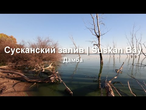 Видео: Сусканский залив. Самарская область. Дамба. Зыбучие пески.  Ловушка для птиц.