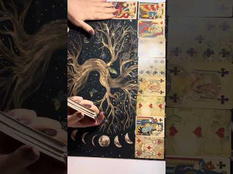 Видео: В шабаше крысиная возня продолжается 😈🤷‍♀️