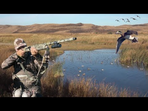 Видео: Одна из лучших охот на уток в моей жизни! Лимит на крупных уток — 4 человека!