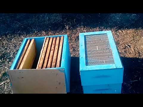 Видео: Семи и десяти рамочные улья ( работа с ними )