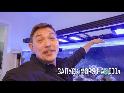 Видео: Обзор и запуск нового морского аквариума на 1000 литров
