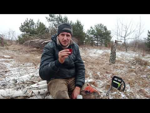 Видео: #лес#клубника#бензопила Пилю лес один китайской бензопилой.  День второй. Огромный участок...