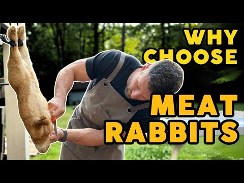 Видео: Разведение мясных кроликов [за и против] | Urban Homestead