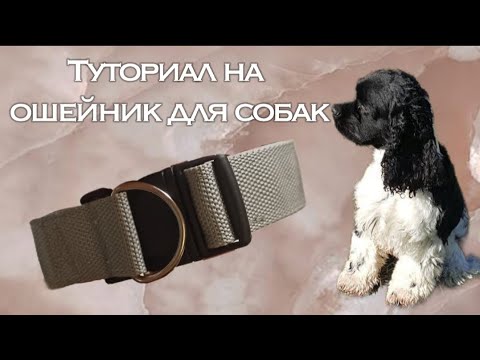Видео: Туториал на ошейник для собак!