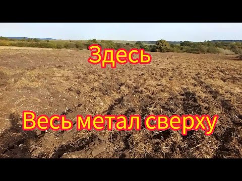Видео: сбор металла после техники. коп на Quest X10 IDMAXX