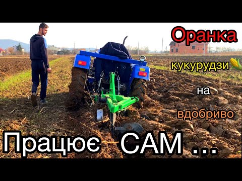 Видео: ОРАНКА КУКУРУДЗИ НА ВДОБРИВО. SHIFENG 244 + bomet 2-25