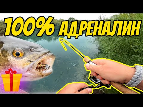 Видео: 100% АДРЕНАЛИН!! УДАР С ПЪРВОТО ХВЪРЛЯНЕ. БЪРЗ РИБОЛОВ НА КЕФАЛ НА РЕКА ТУНДЖА
