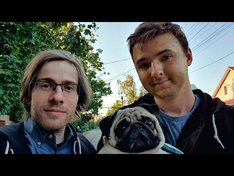 Видео: ГУЛЯЮ С МОПСОМ и мужем