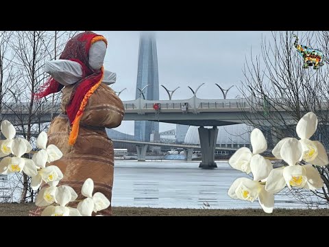 Видео: Масленицу проводили , самое время пересадки орхидей 😁💪🏻🤗 #phal #пересадкаорхидеи #orchid