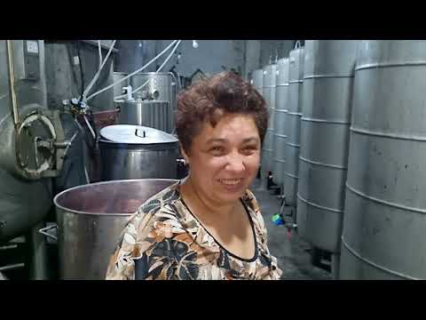 Видео: Винодельня Нугзара Ашуба: виноградный клад Абхазии. Nugzar Ashuba Winery: Abkhazia's Grape Treasure