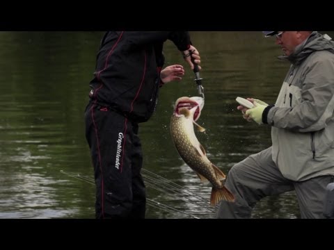 Видео: PRO ANGLERS LEAGUE 2013 - I этап. ОФИЦИАЛЬНОЕ ВИДЕО