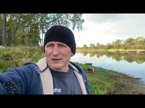 Видео: 24.Рыбалка на поплавок. Ловлю карасей, наслаждаюсь природой! 