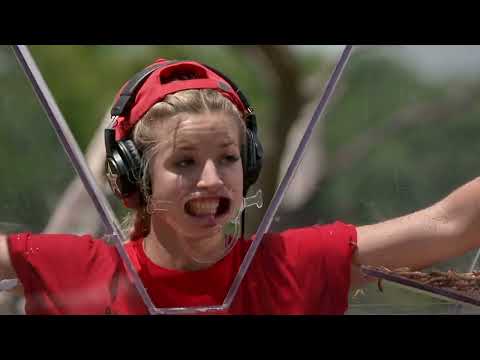 Видео: Звёзды в Африке 2: Кто поёт? (Stars in Africa 2: Who sings?)