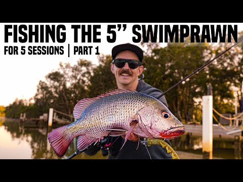 Видео: Рыболовные ручьи, где используется только большая креветочка-плавунья в течение 5 сессий | Часть 1