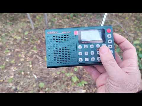 Видео:  Электросмог рядом. QL 02. MW, FM. SW. Chishinau. 12:20. New version.