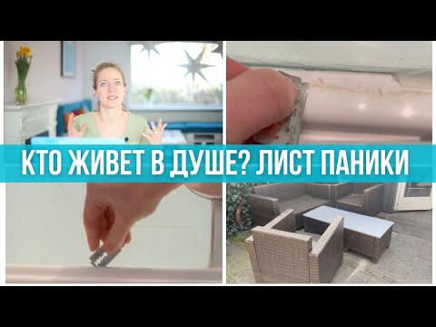 Видео: Дом мечты. Приводим в порядок санузел и сад. Планирование. Мотивация. Генеральная уборка.Лист паники
