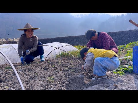 Видео: Сажаю картошку, Йике работает хорошо и самый загруженный
